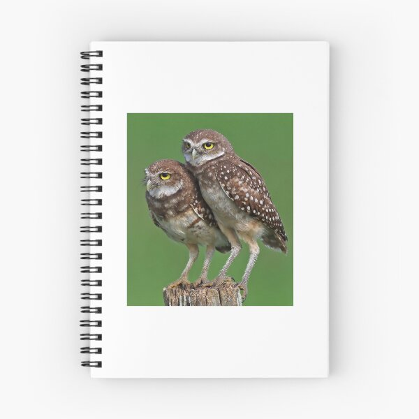 Item preview, Burrowing Owls designed and sold by Anthony Goldman.