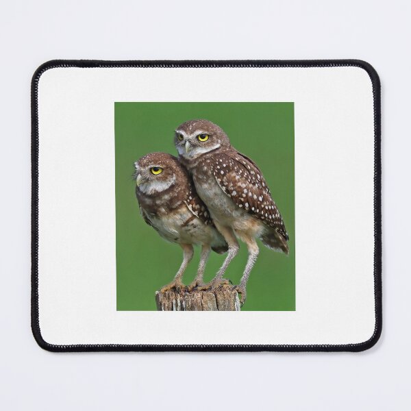 Item preview, Burrowing Owls designed and sold by Anthony Goldman.