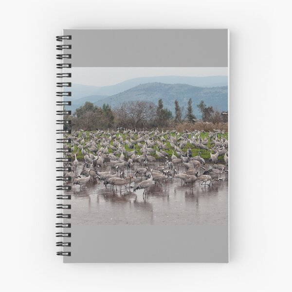 Item preview, Migrating Cranes  designed and sold by Yair Karelic.