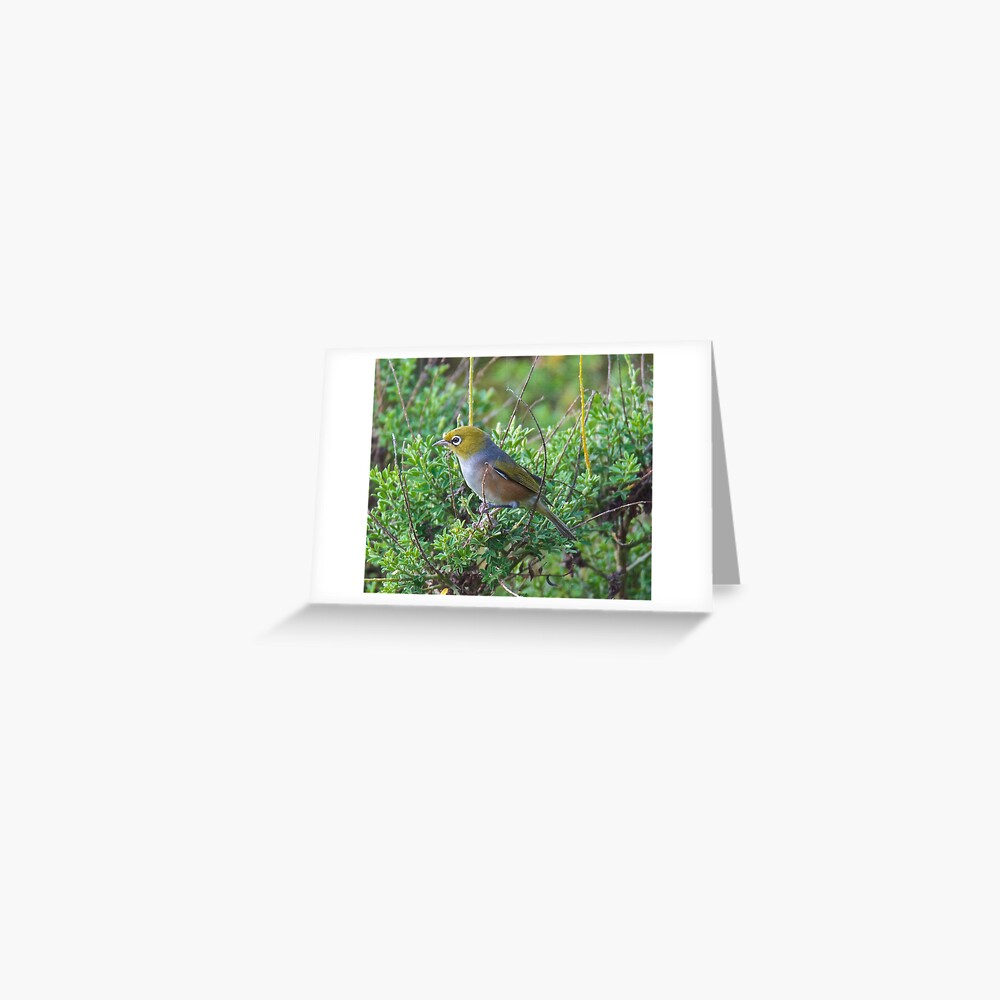 Item preview, Greeting Card designed and sold by tasmanianartist.