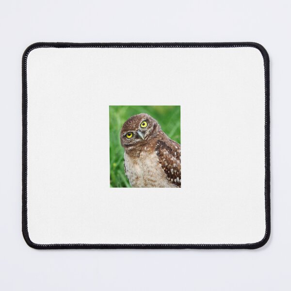 Item preview, Burrowing Owlet designed and sold by Anthony Goldman.