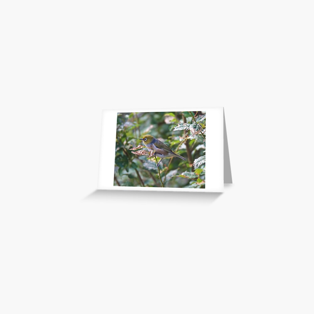 Item preview, Greeting Card designed and sold by tasmanianartist.