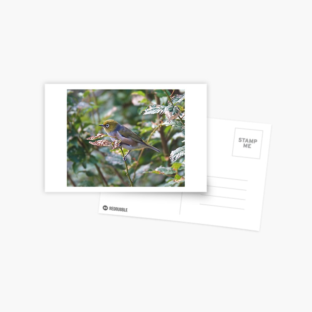 Item preview, Postcard designed and sold by tasmanianartist.