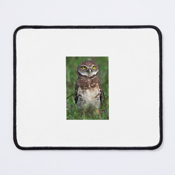 Item preview, Burrowing Owl  designed and sold by Anthony Goldman.