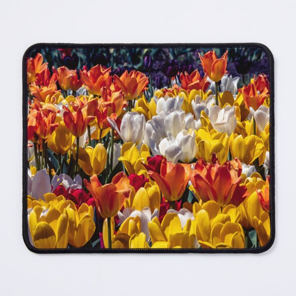 Item preview, Festive Tulips designed and sold by barkeypf.
