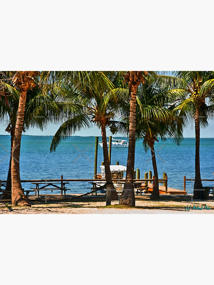 Key Largo by photorolandi