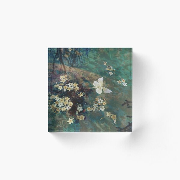 The Butterfly Pond Acrylic Block