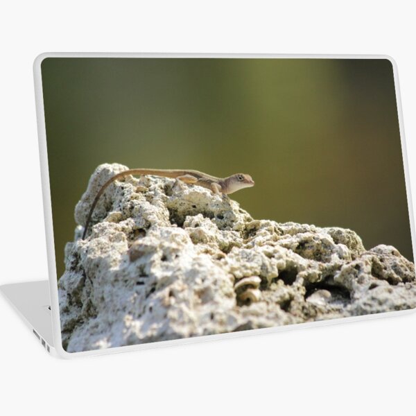 Lizard Laptop Skin