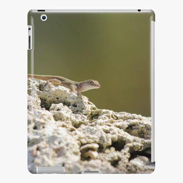 Lizard iPad Snap Case