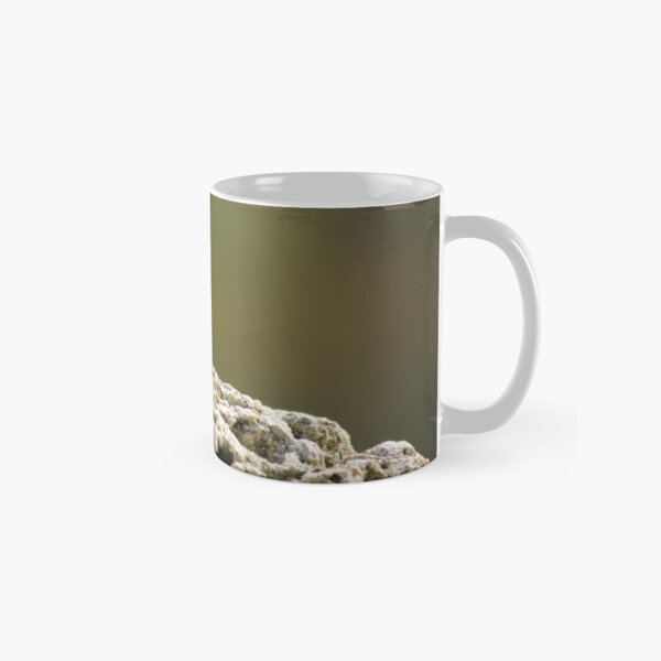 Lizard Classic Mug