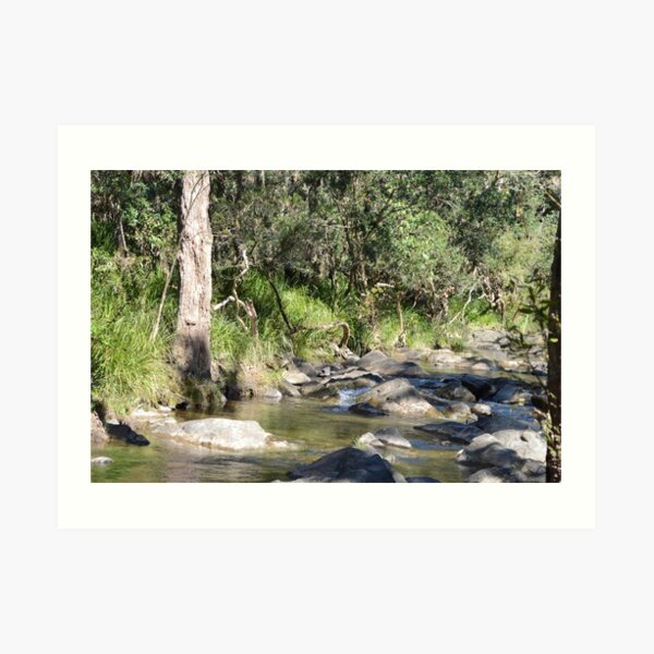 Creek in South East Queensland Art Print