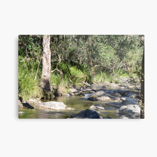 Creek in South East Queensland Metal Print