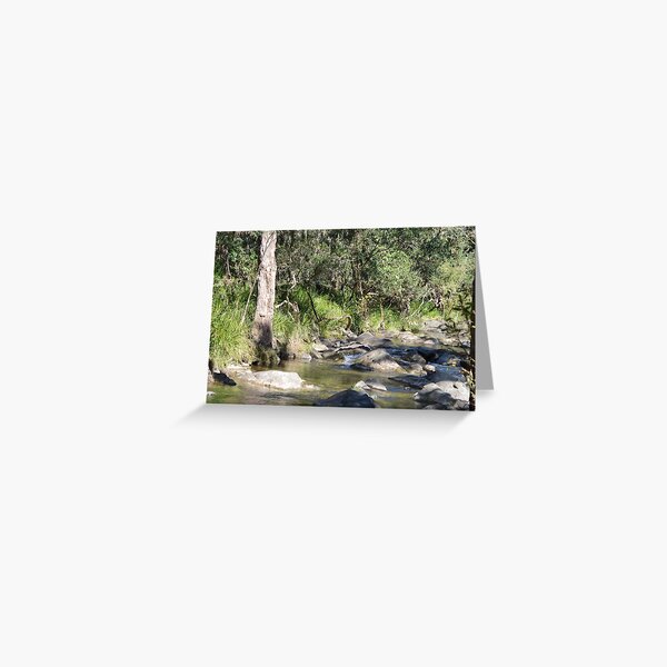 Creek in South East Queensland Greeting Card
