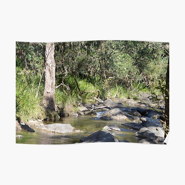 Creek in South East Queensland Poster