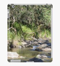 Creek in South East Queensland iPad Case/Skin