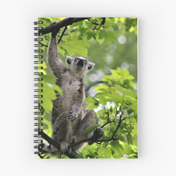 Item preview, Ring Tailed Lemur Up A Tree designed and sold by Ladymoose.