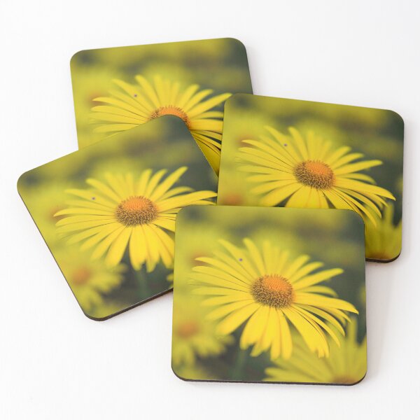 Item preview, All yellow bunch. Leopard's bane designed and sold by Jouko Lehto Photography.