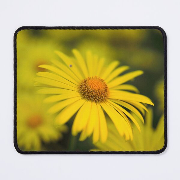 Item preview, All yellow bunch. Leopard's bane designed and sold by Jouko Lehto Photography.