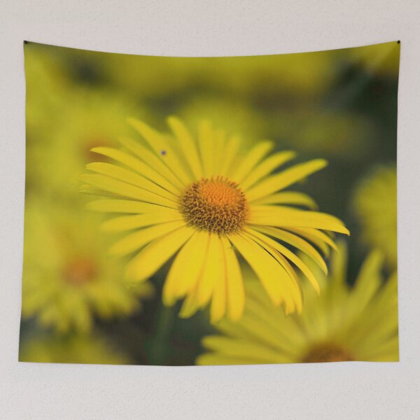 Item preview, All yellow bunch. Leopard's bane designed and sold by Jouko Lehto Photography.