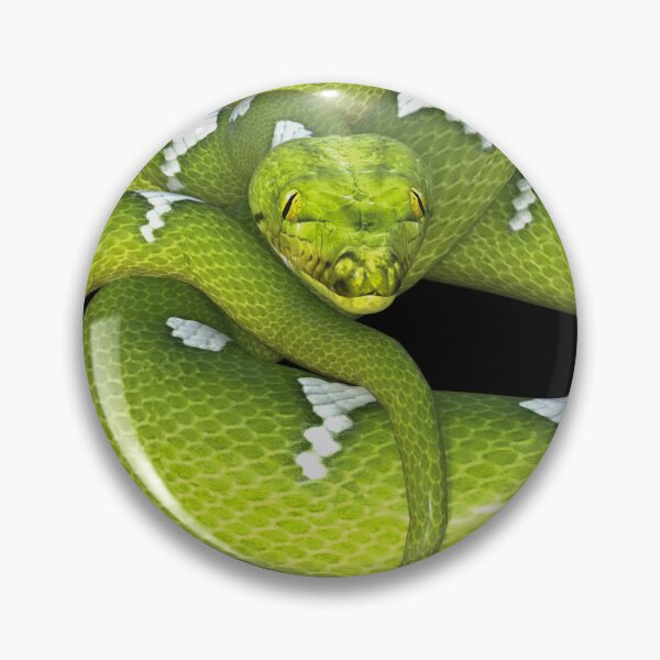 Artikelvorschau, Grüne Constrictor-Schlange entworfen und verkauft von Photorebelle.