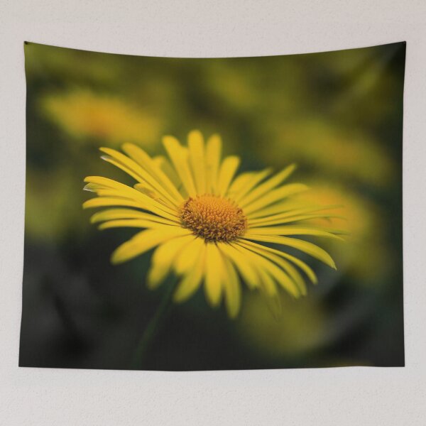 Item preview, Getting into the light. Leopard's bane designed and sold by Jouko Lehto Photography.