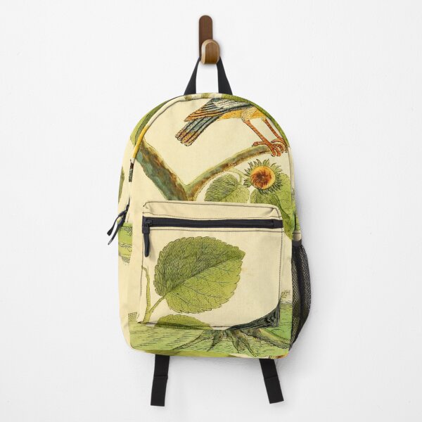 Item preview, Nuthatch designed and sold by Lloyd Library & Museum.