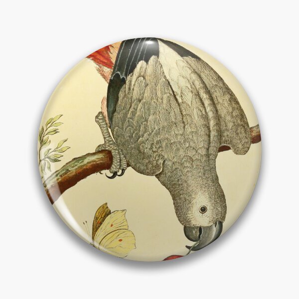 Item preview, African Grey Parrot designed and sold by Lloyd Library & Museum.