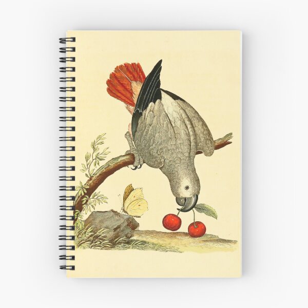 Item preview, African Grey Parrot designed and sold by Lloyd Library & Museum.