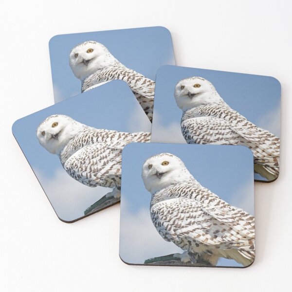 Item preview, Owl designed and sold by Lourdie5.