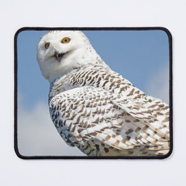Item preview, Owl designed and sold by Lourdie5.