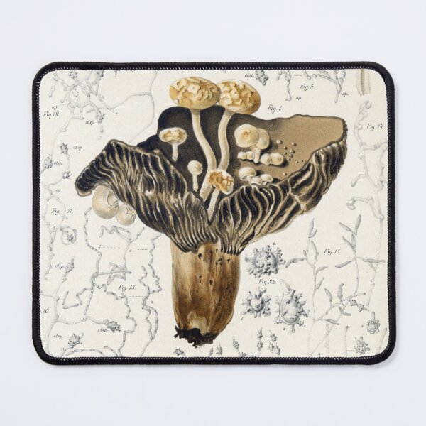 Item preview, Brefeld Fungi designed and sold by Lloyd Library & Museum.