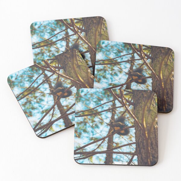 Item preview, Squirrel designed and sold by viknitov.