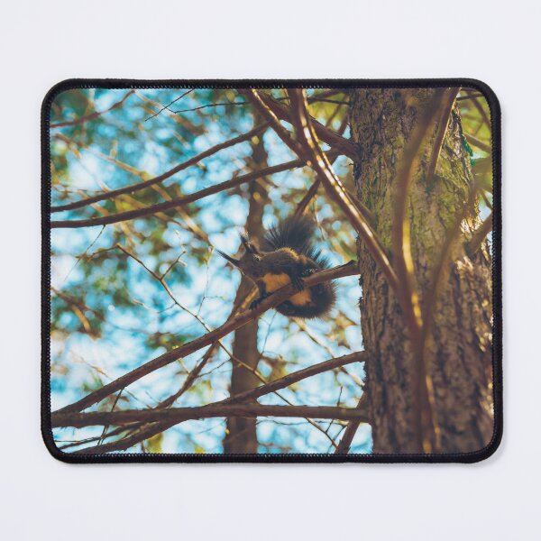 Item preview, Squirrel designed and sold by viknitov.