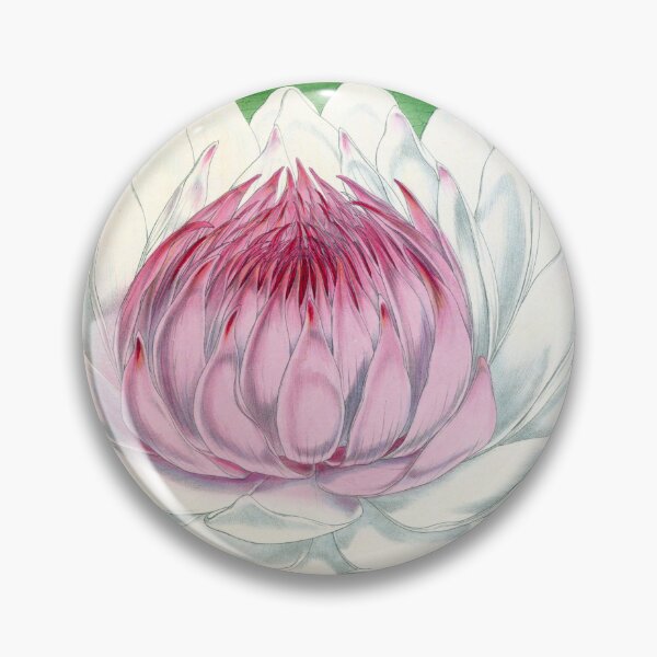 Item preview, Victoria amazonica designed and sold by Lloyd Library & Museum.