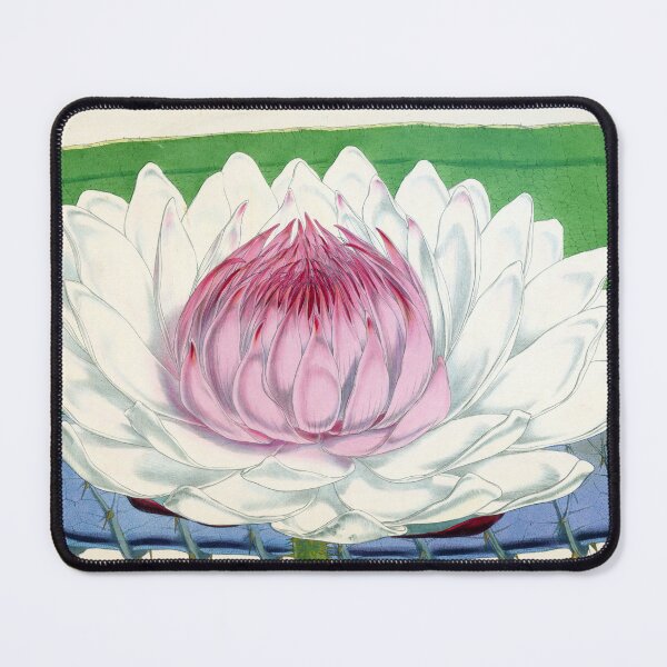 Item preview, Victoria amazonica designed and sold by Lloyd Library & Museum.