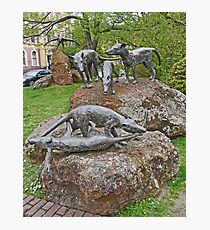 Thylacine Sculpture Photographic Print