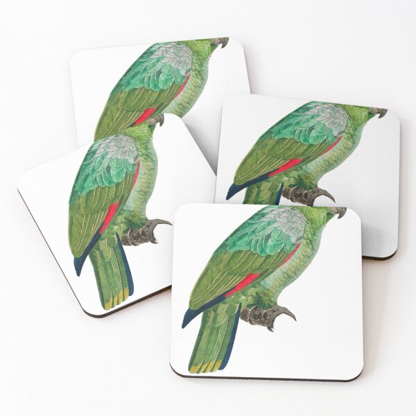 Item preview, parrot sticker designed and sold by Printverse Studio.