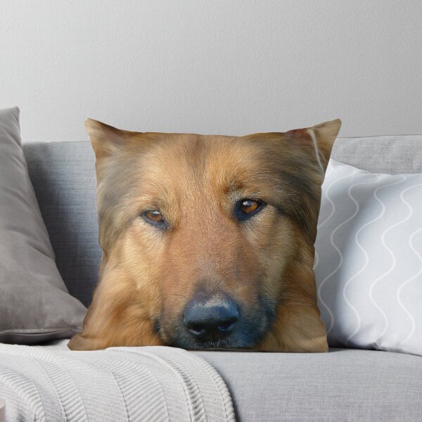 Item preview, Dreaming Of My Wee Lassie! - Cross Mix Collie Dog - NZ designed and sold by AndreaEL.