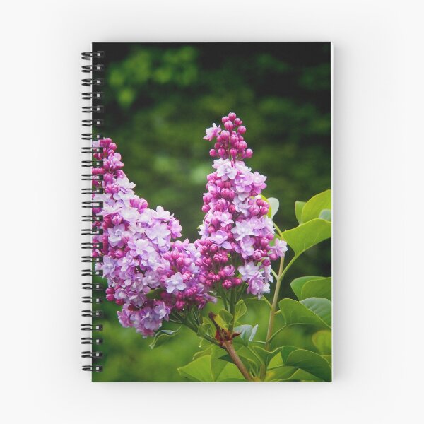 Item preview, Lilac.....................Dorset UK designed and sold by lynn carter.
