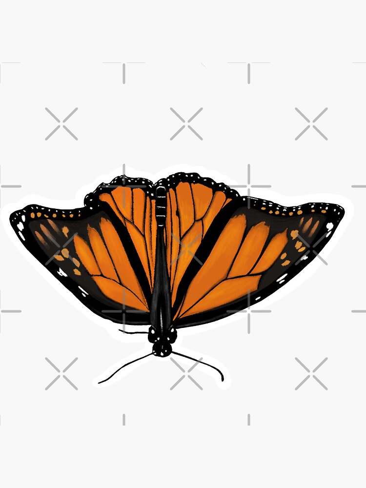 Monarch Butterfly Sticker By Alachiki Redbubble 