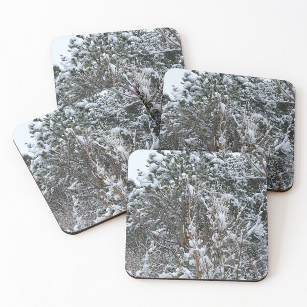Item preview, Colorado designed and sold by Haley-Marshall.