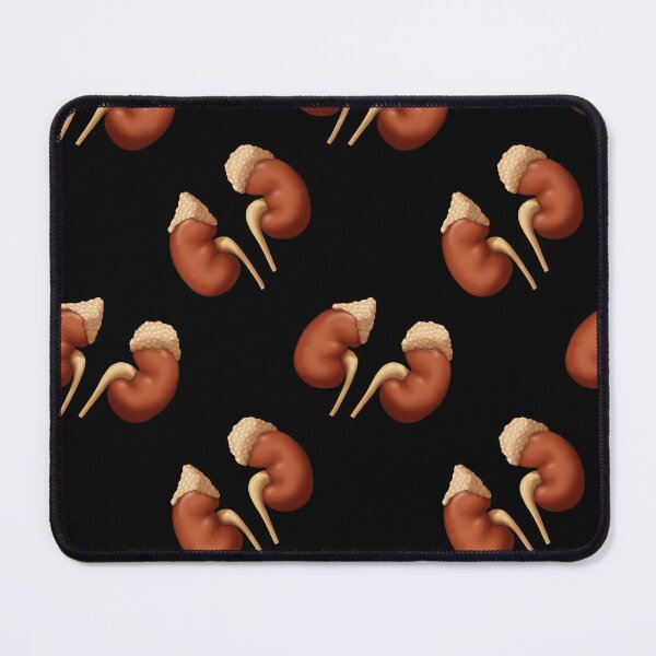 Item preview, Human Kidneys with Adrenal Glands, Medical Illustration designed and sold by ScienceSource.