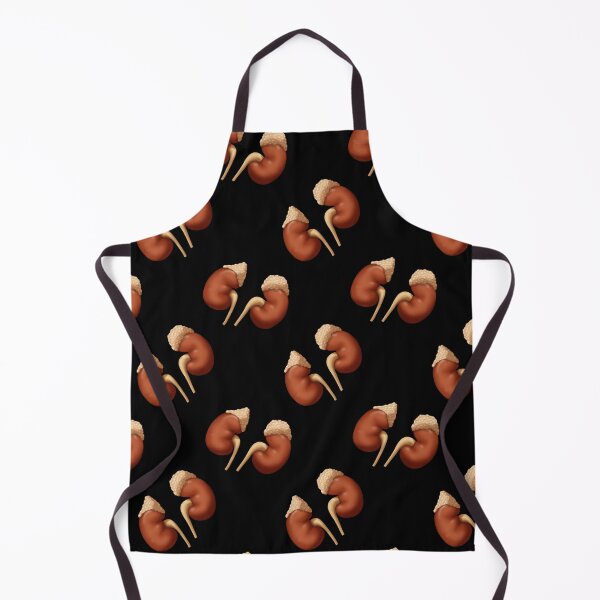 Item preview, Human Kidneys with Adrenal Glands, Medical Illustration designed and sold by ScienceSource.