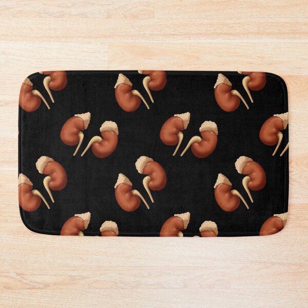Item preview, Human Kidneys with Adrenal Glands, Medical Illustration designed and sold by ScienceSource.