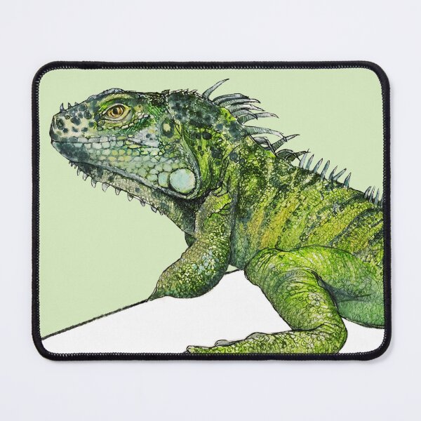 Item preview, Iguana, Illustration designed and sold by by-bearye.