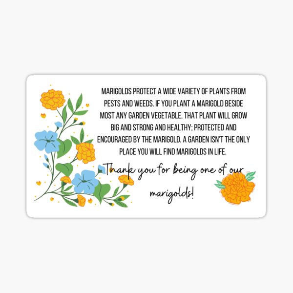 Marigold Sticker for Sale by Riggs20 Redbubble