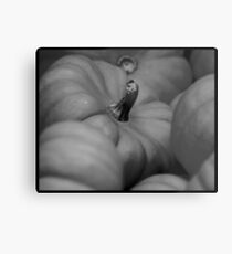 pumpkin 02 Metal Print