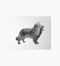 Border Collie Art Board