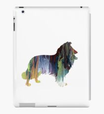 Border Collie iPad Case/Skin