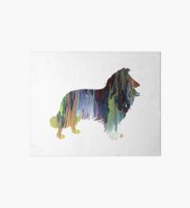 Border Collie Art Board